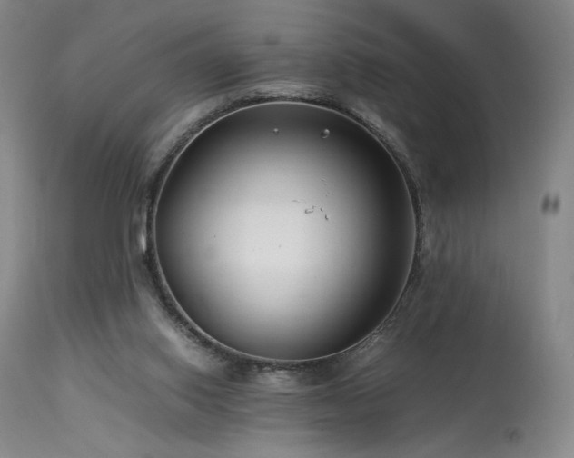 X0000113990062200910021233