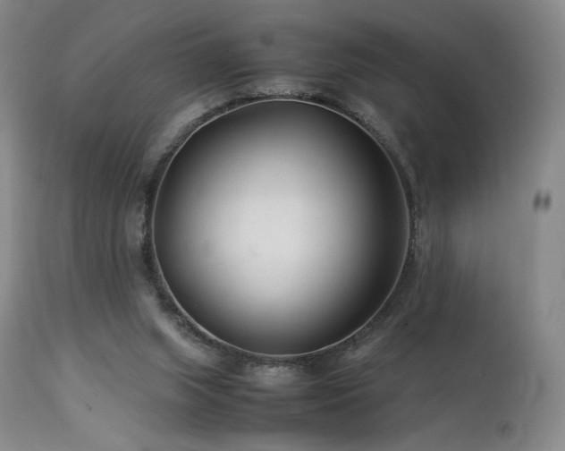 X0000113990063200910021233