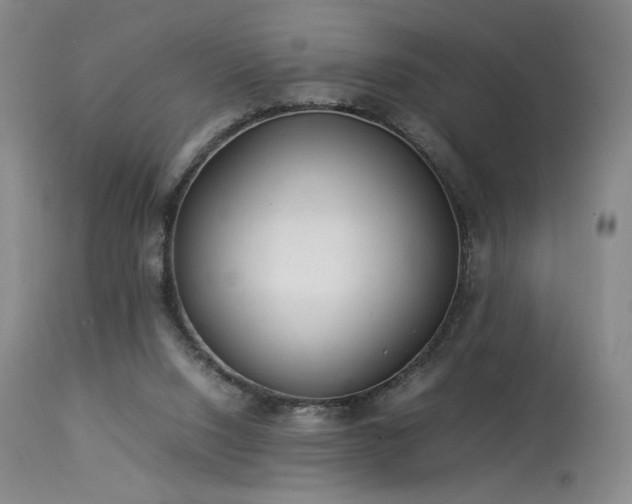 X0000113990064200910021233