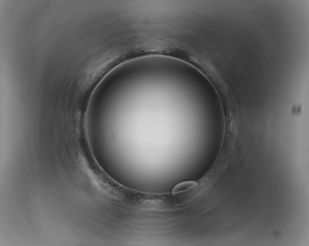 X0000113990066200910021233