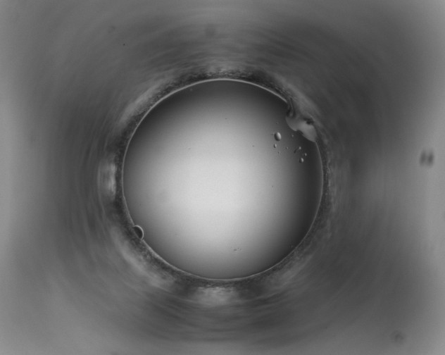 X0000113990067200910021233