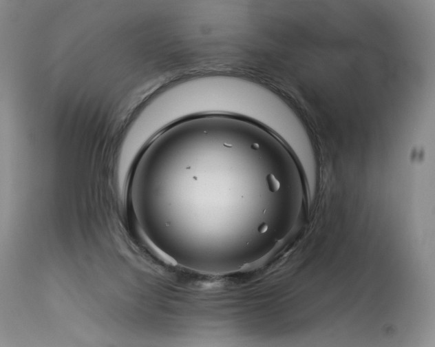 X0000113990068200910021233