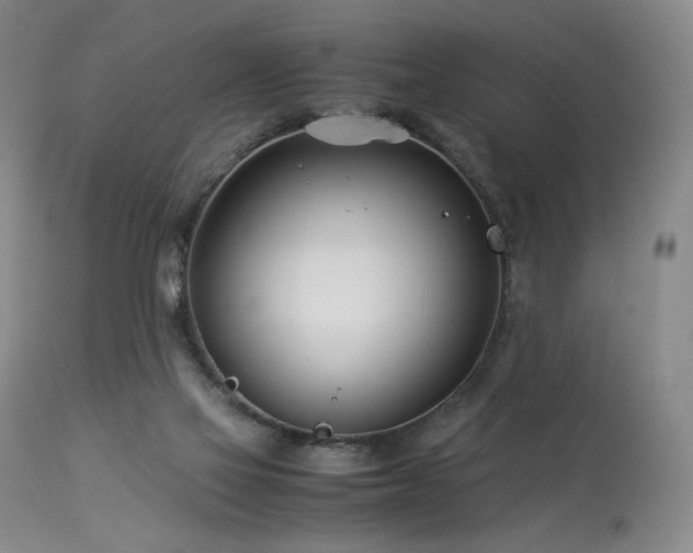 X0000113990069200910021233