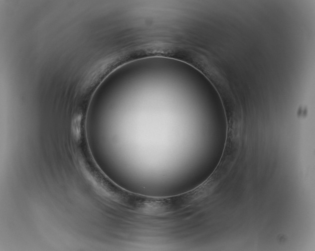 X0000113990070200910021233