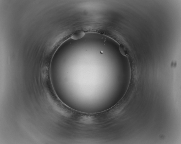 X0000113990071200910021233