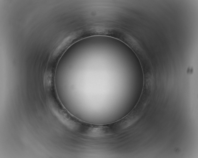 X0000113990072200910021233