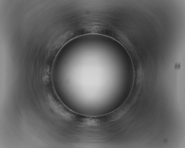 X0000113990073200910021233