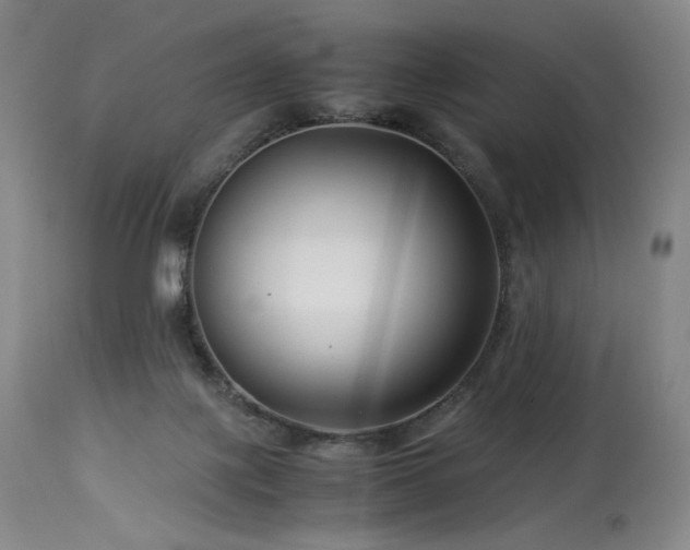 X0000113990075200910021233