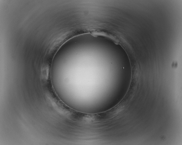 X0000113990076200910021233