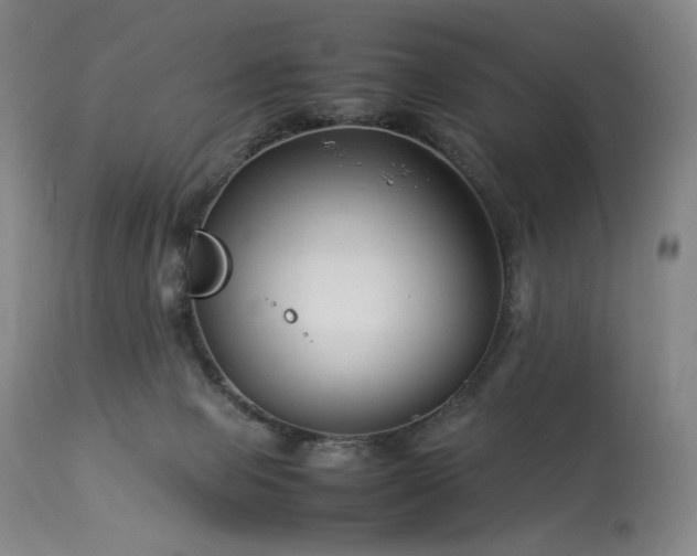 X0000113990077200910021233