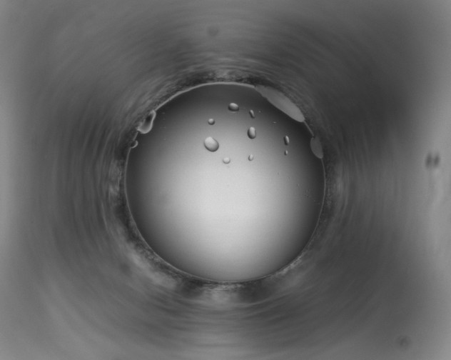 X0000113990078200910021233