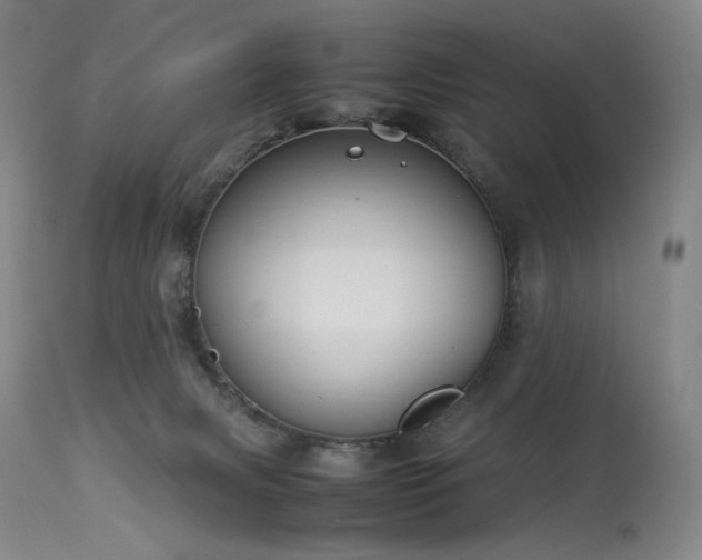 X0000113990079200910021234