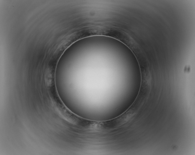 X0000113990080200910021234