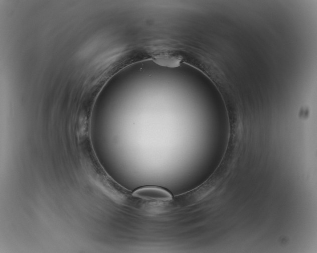 X0000113990081200910021234