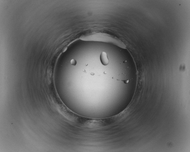 X0000113990082200910021234