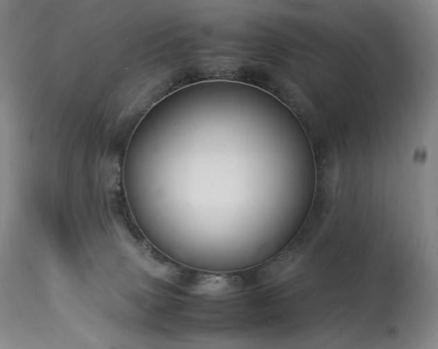 X0000113990083200910021234