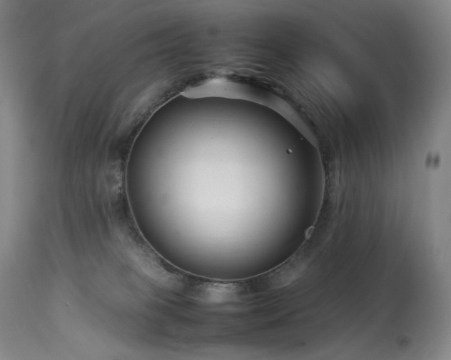 X0000113990085200910021234