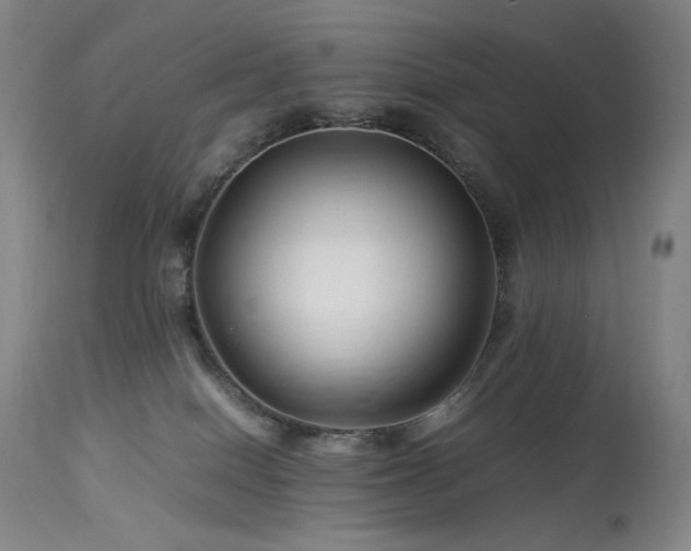 X0000113990086200910021234