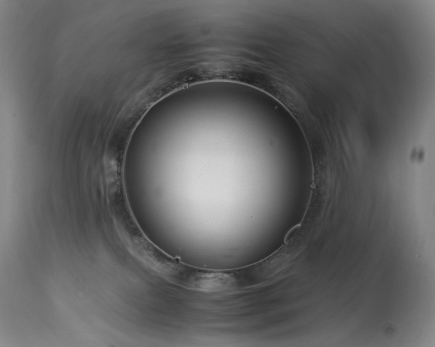 X0000113990087200910021234