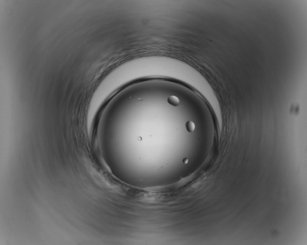 X0000113990088200910021234