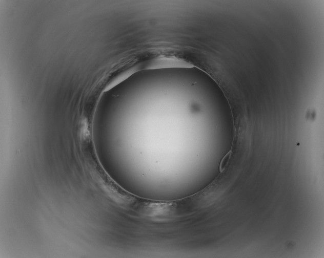 X0000113990089200910021234