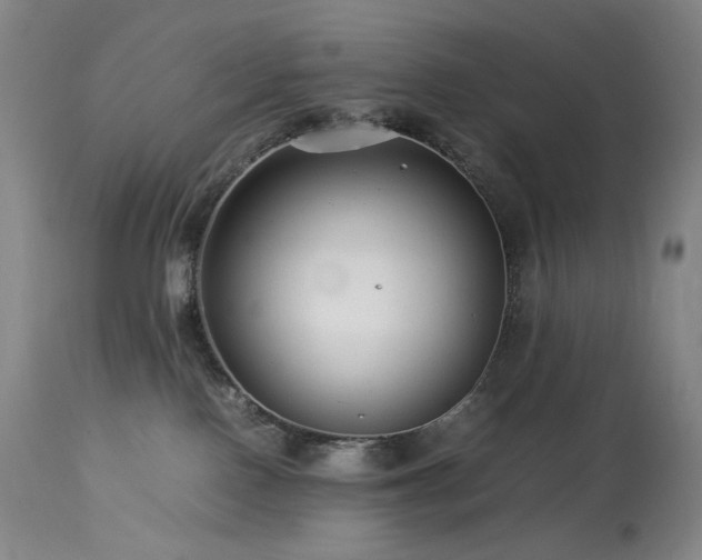 X0000113990090200910021234