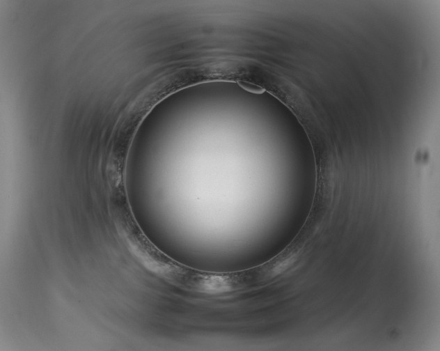 X0000113990091200910021234