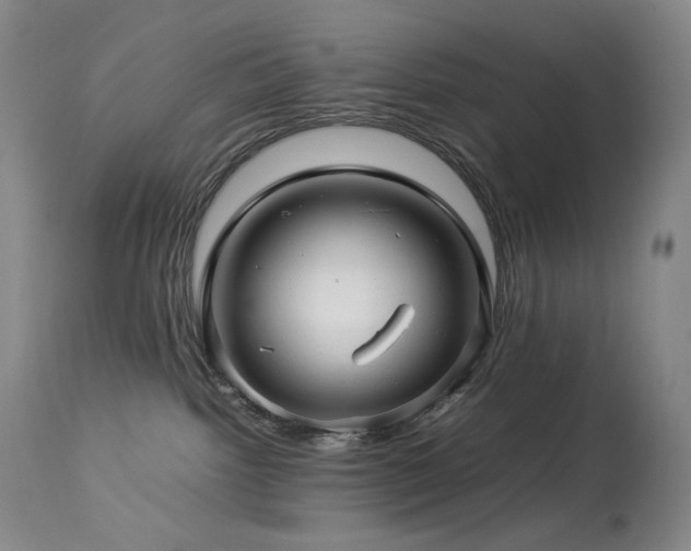 X0000113990092200910021234