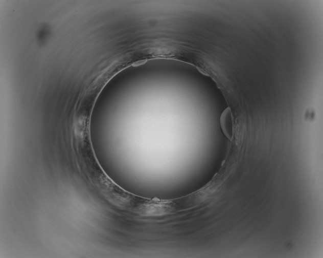 X0000113990093200910021234