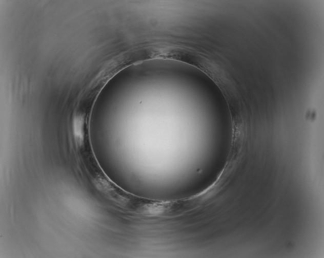 X0000113990094200910021234