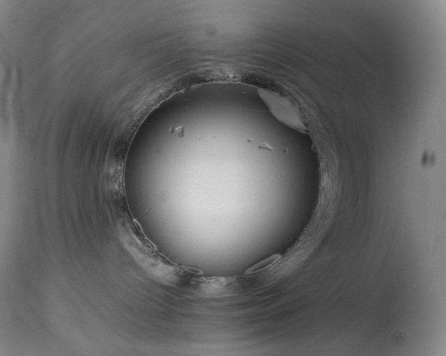 X0000113990096200910021234