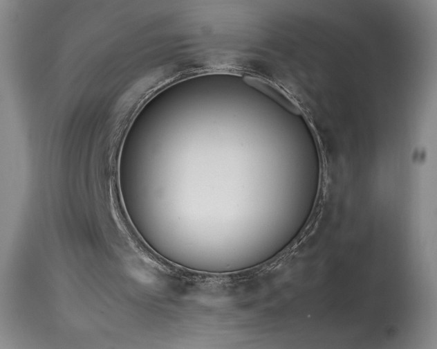 X0000113990097200910021233