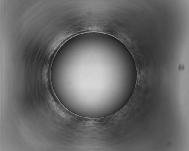 X0000113990098200910021233