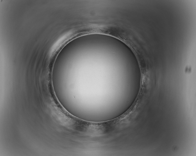 X0000113990101200910021233