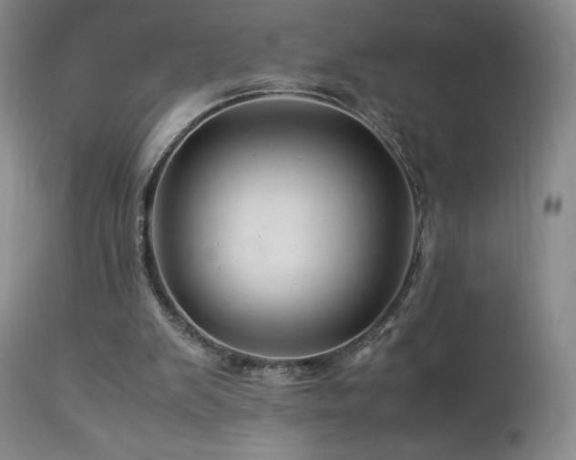 X0000113990103200910021233