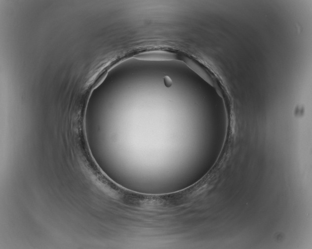 X0000113990105200910021233