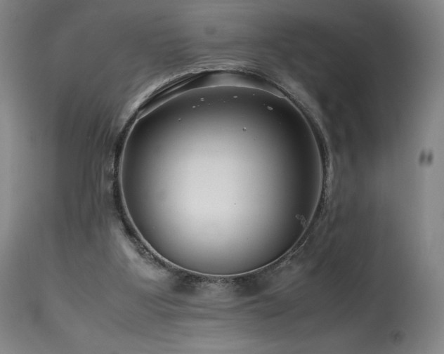 X0000113990107200910021233