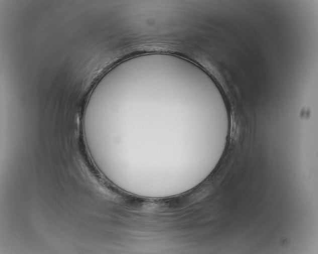 X0000113990109200910021233