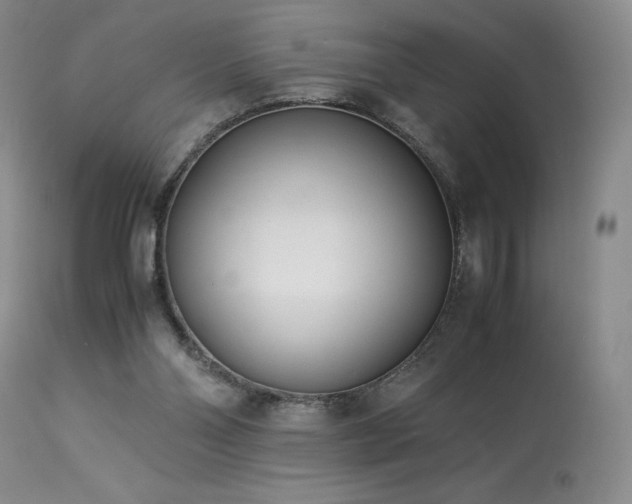 X0000113990110200910021233