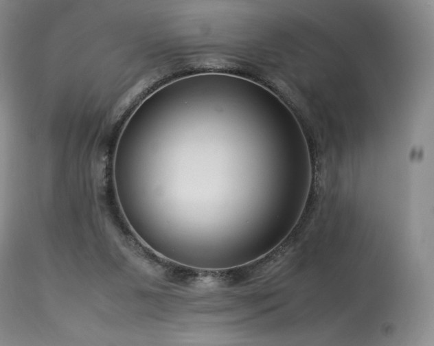 X0000113990111200910021233