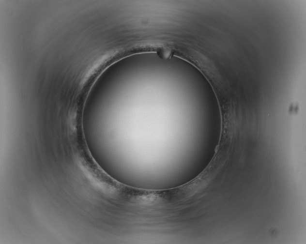 X0000113990112200910021233