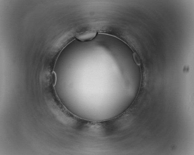 X0000113990113200910021233