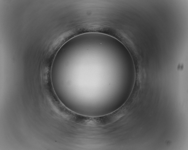 X0000113990115200910021233