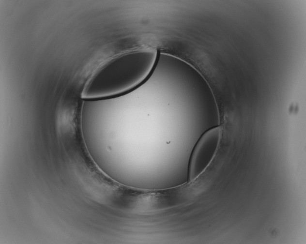 X0000113990116200910021233