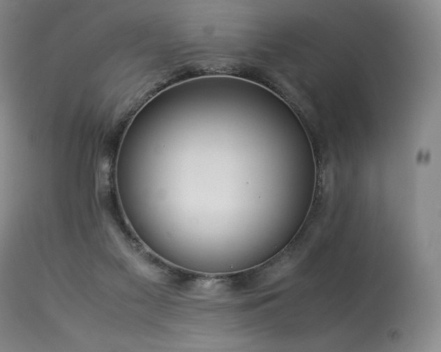 X0000113990117200910021233