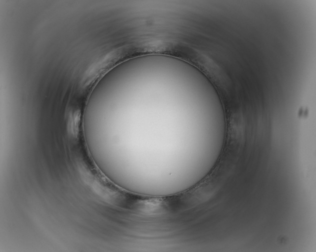 X0000113990118200910021233