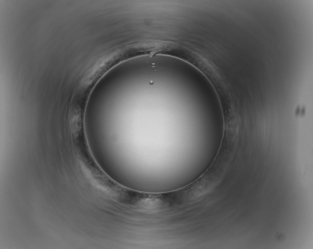 X0000113990119200910021233