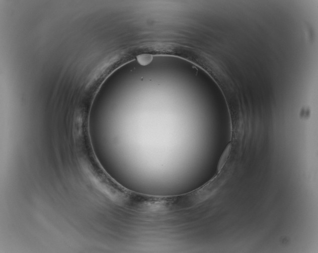 X0000113990120200910021233