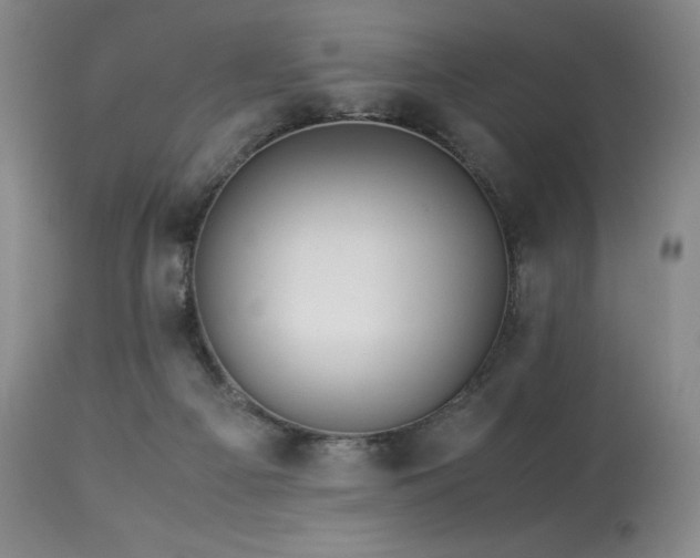 X0000113990121200910021233