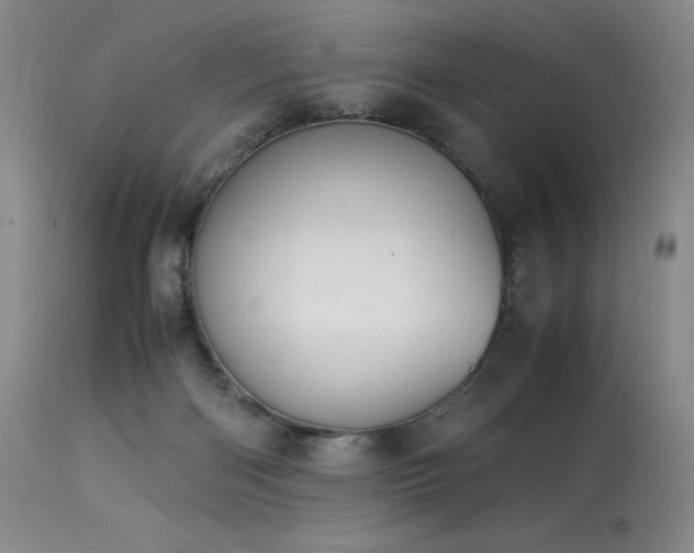 X0000113990122200910021233